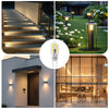 Upgrade Your Home Lighting with High-Efficiency LED Bulbs