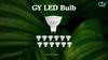 Why GY Store LED Bulbs Shine Brightest on Amazon