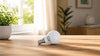 Dimmable E27 LED light bulb resting on a wooden table in a bright, modern living room with natural sunlight.
