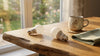 Two LED light bulbs on a wooden table near a steaming coffee mug and folded napkin. Sunlight streams through a window, creating a cozy, calm ambiance.