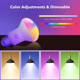 GY E27 LED R63 Smart WiFi Lampe 9W 820 Lumen Kompatibel mit Alexa Echo und Google Assistant