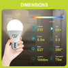 GY E27 A60 LED Lampe 6.5W 1050 Lumen Energieeffizienzklasse C - GY cnlamp